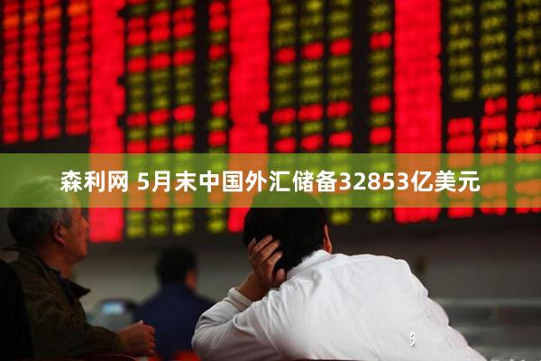 森利网 5月末中国外汇储备32853亿美元