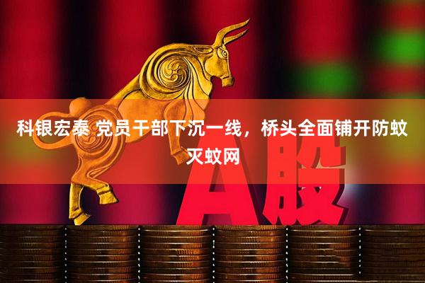 科银宏泰 党员干部下沉一线，桥头全面铺开防蚊灭蚊网